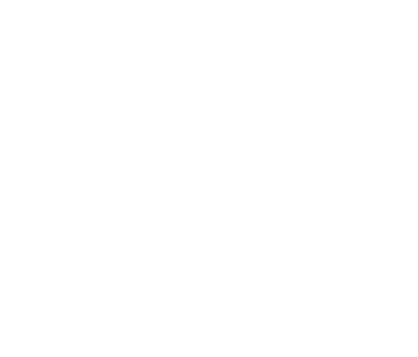 A DIGITAL REPRESENTATION OF THE PHYSICAL AND FUNCTIONAL